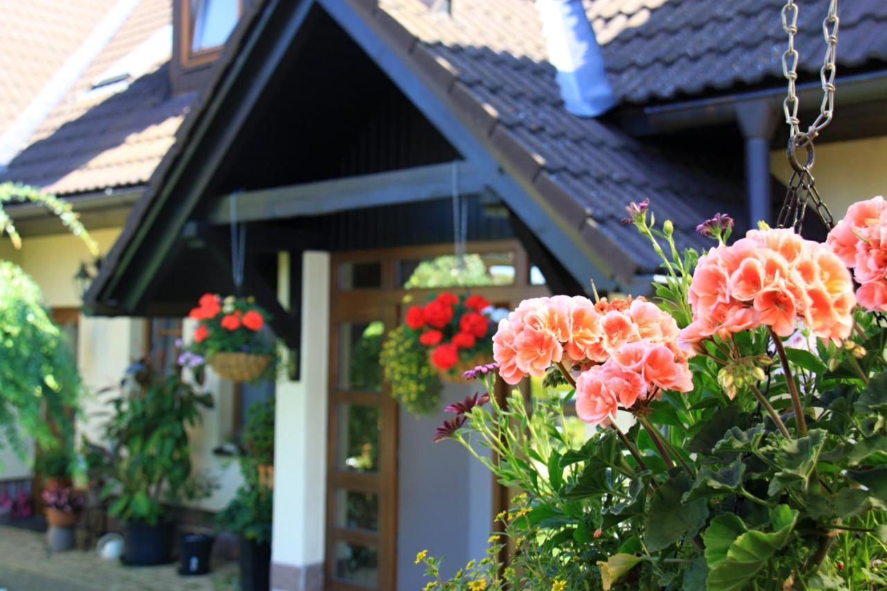 Ubytovani Zdarske Vrchy Světnov Exterior foto