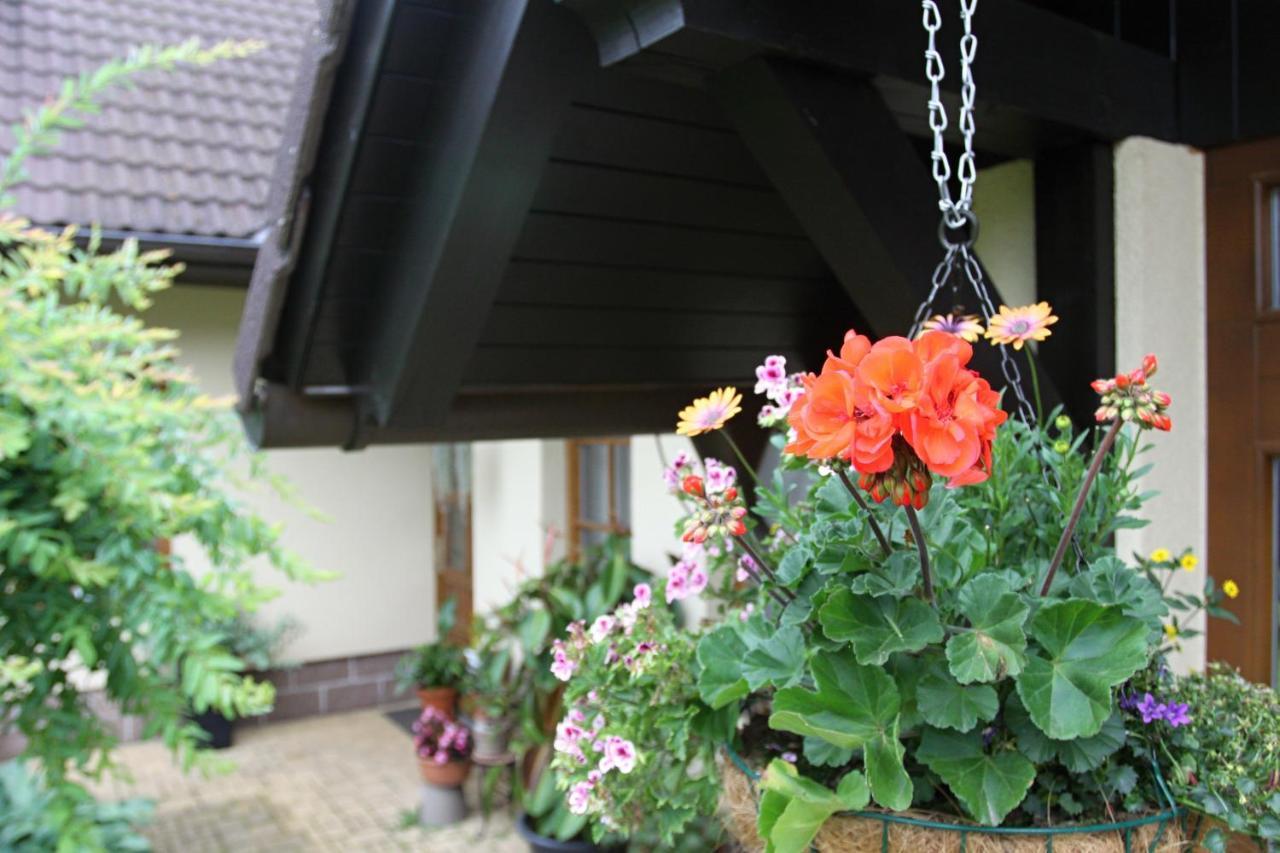 Ubytovani Zdarske Vrchy Světnov Exterior foto